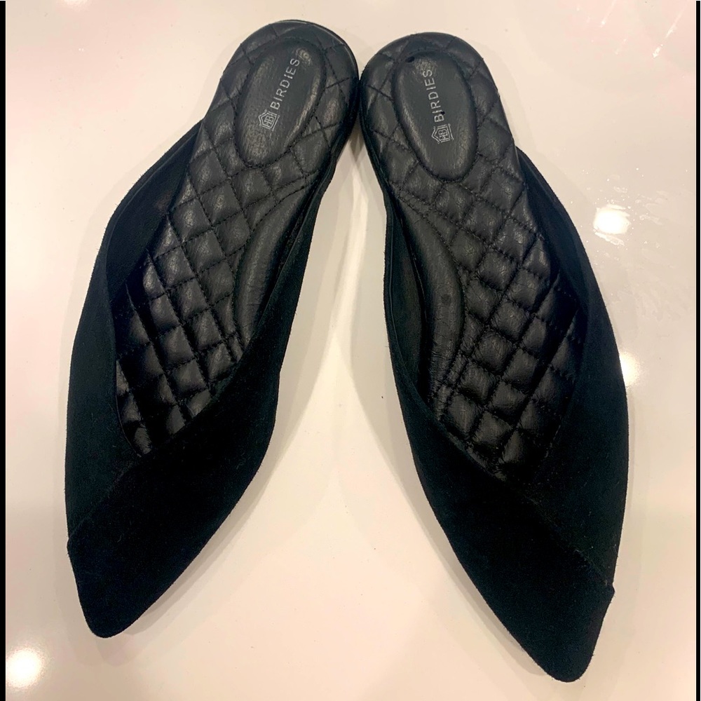 Birdies Swan slides 9.5